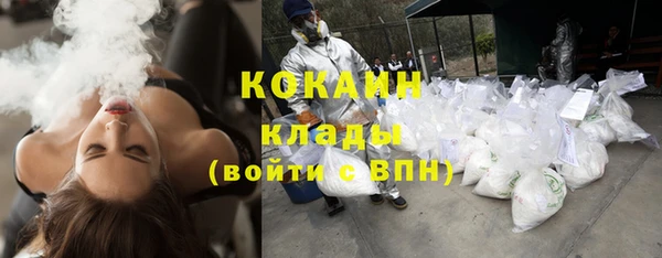 шишки Верхний Тагил