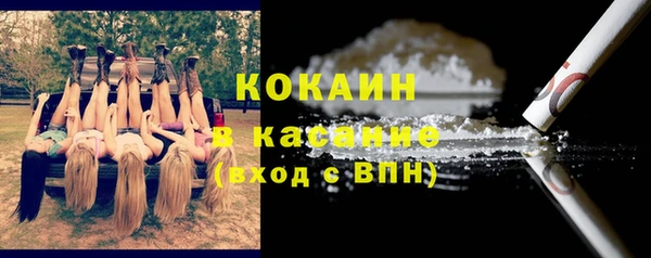 шишки Верхний Тагил