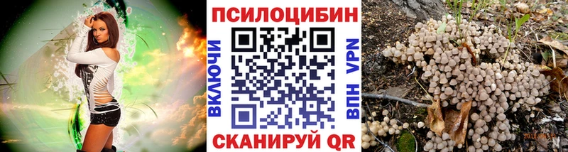 дарк нет Telegram  Волосово  Псилоцибиновые грибы Magic Shrooms 